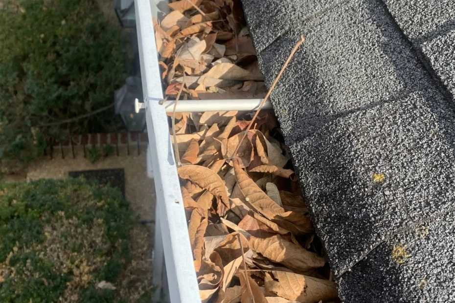 Gutter Cleaning Summit SC